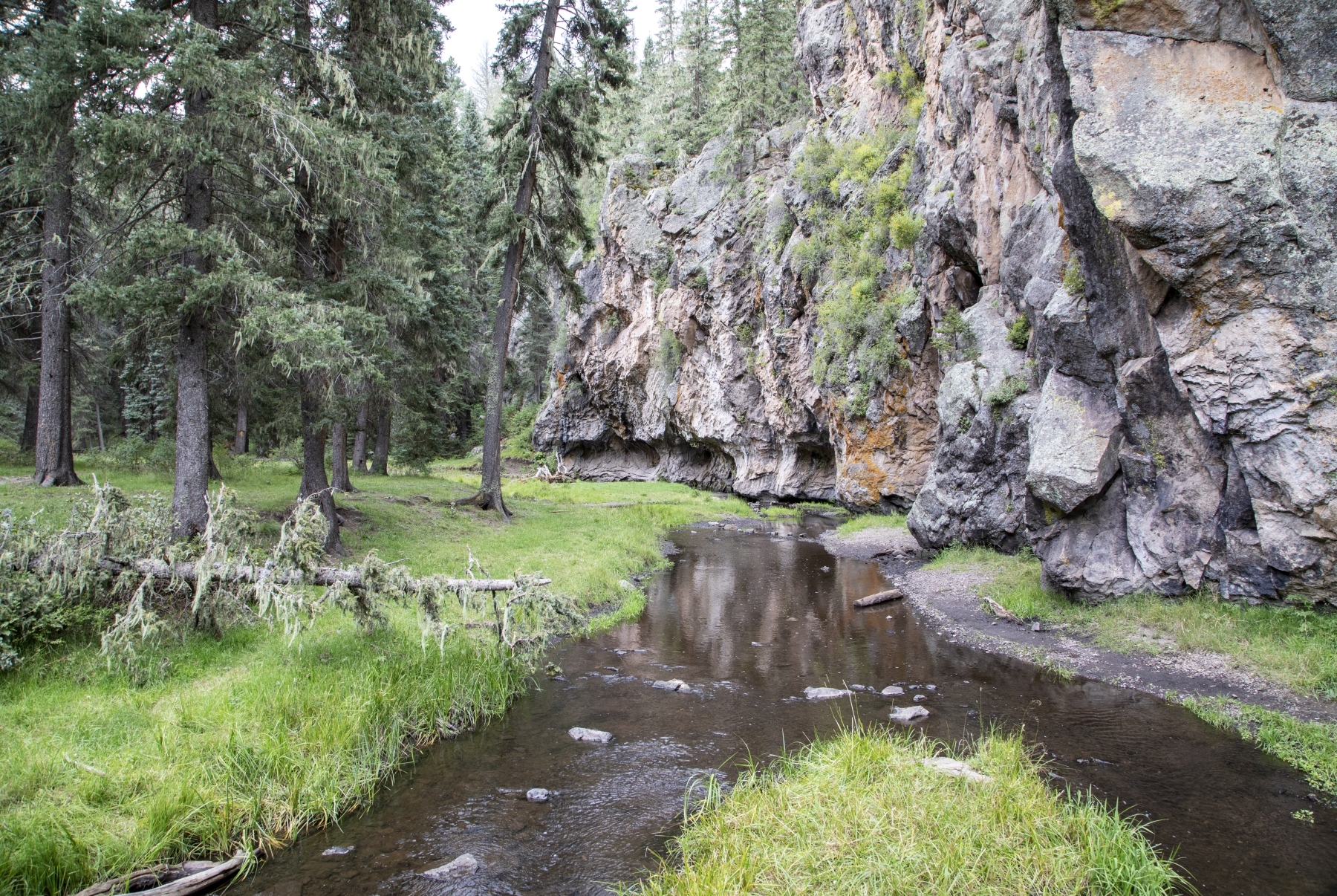 /gallery/north_america/USA/NM/jemez/Jemez Springs Region NM Aug 2018-003_med.jpg